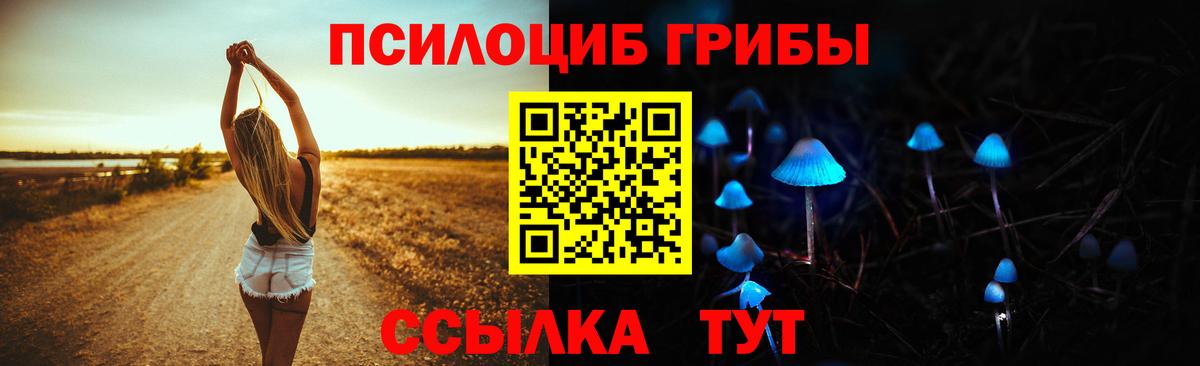 Красноармейск  Галлюциногенные грибы GOLDEN TEACHER  Вход с VPN  Псилоцибиновые грибы Cubensis 